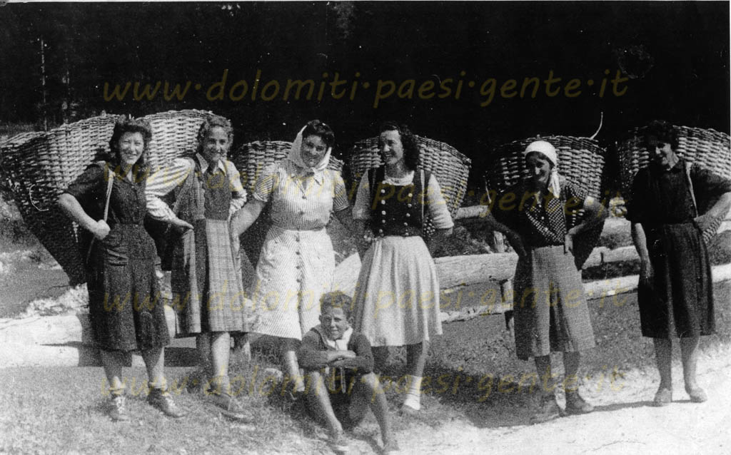 http://www.dolomiti-paesi-gente.it