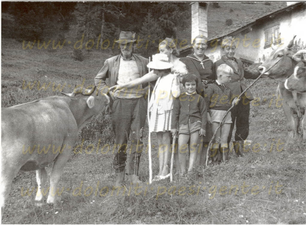 http://www.dolomiti-paesi-gente.it