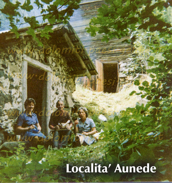 http://www.dolomiti-paesi-gente.it