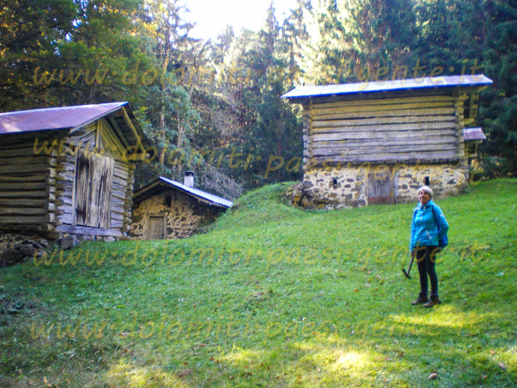 http://www.dolomiti-paesi-gente.it